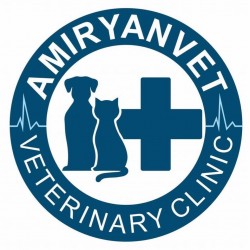 AmiryanVet - Առաջին անասնաբուժական կլինիկա