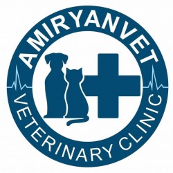 AmiryanVet - Առաջին անասնաբուժական կլինիկա