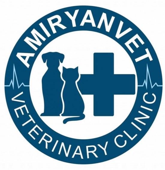 AmiryanVet  - Первая ветеринарная клиника