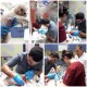 AmiryanVet  - First Veterinary Clinic