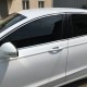 Black Glass - Tinting