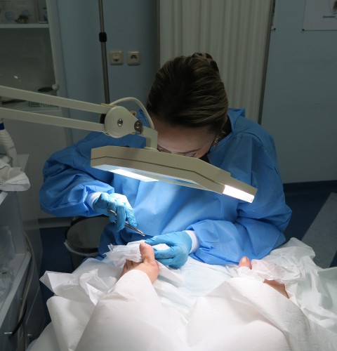 Dr. Diana Nelipovich- podologist