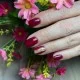 Dina Nails Art