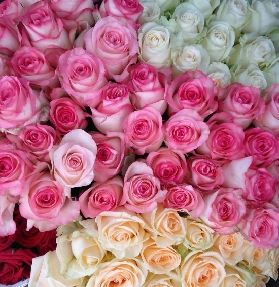 Online sale of fresh flowers in Gyumri