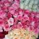 Online sale of fresh flowers in Gyumri