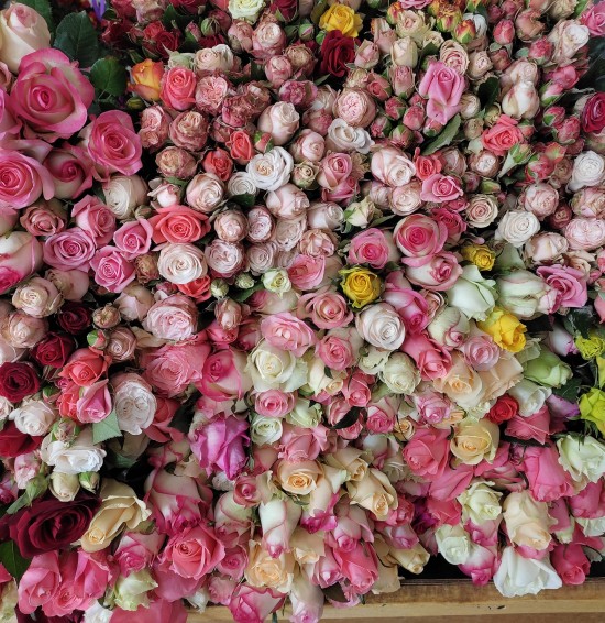 Online sale of fresh flowers in Gyumri