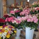 Online sale of fresh flowers in Gyumri