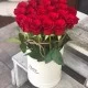 Ծաղկի սրահ Լիլի Ծաղկի սրահ Լիլի