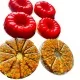 MoNata Jelly MoNata Jelly