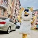 Cartoon heroes Gyumri Cartoon heroes Gyumri