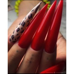 Nail Art Karina