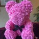 Surprise rose Bear