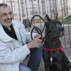 School of Good Manners for Your Dog