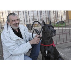 Школа хороших манер для Вашей собаки