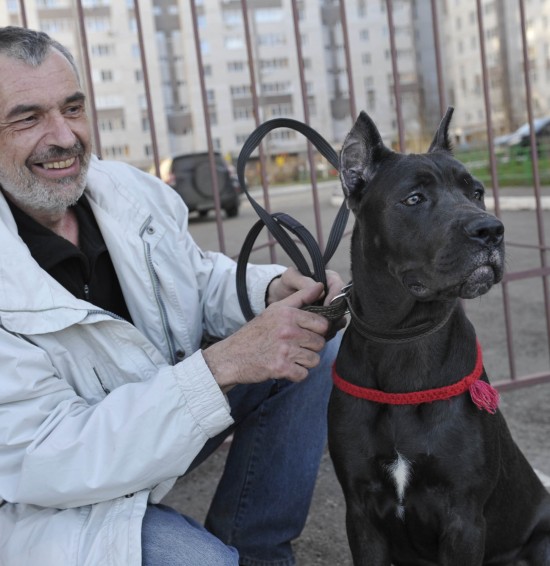 School of Good Manners for Your Dog